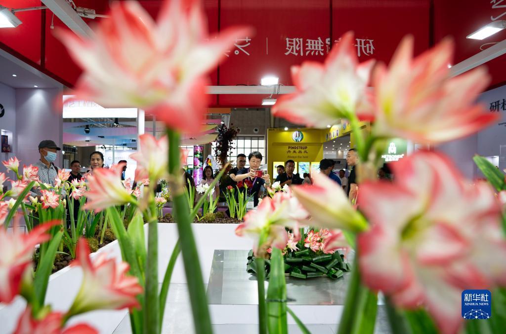 水果九线怎么玩才能赢