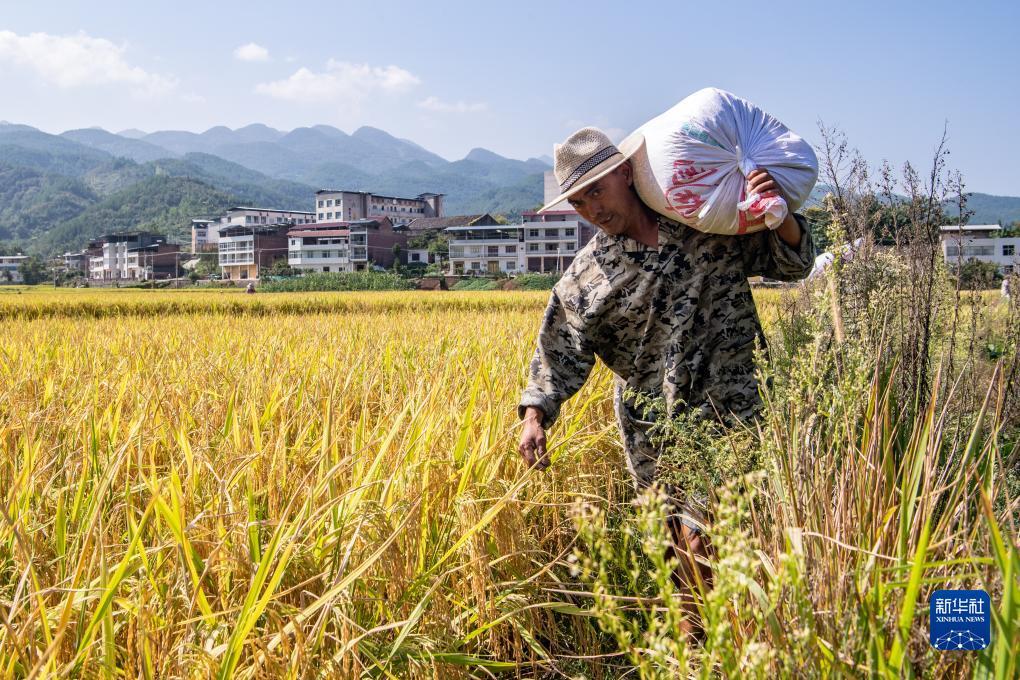 新老虎机下载